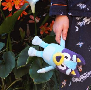 Maskotka-Moose-Toys-przytulanka-Bluey-20-cm-Marka-Bluey