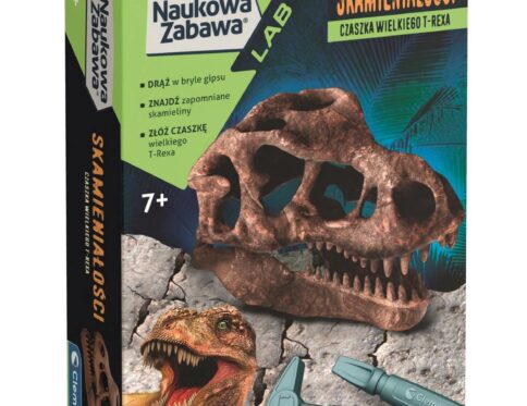 DINOZAURY SKAMIENIAŁOŚCI Czaszka T-Rexa DINOZAUR KOŚCI T-REX 50790 CZASZA